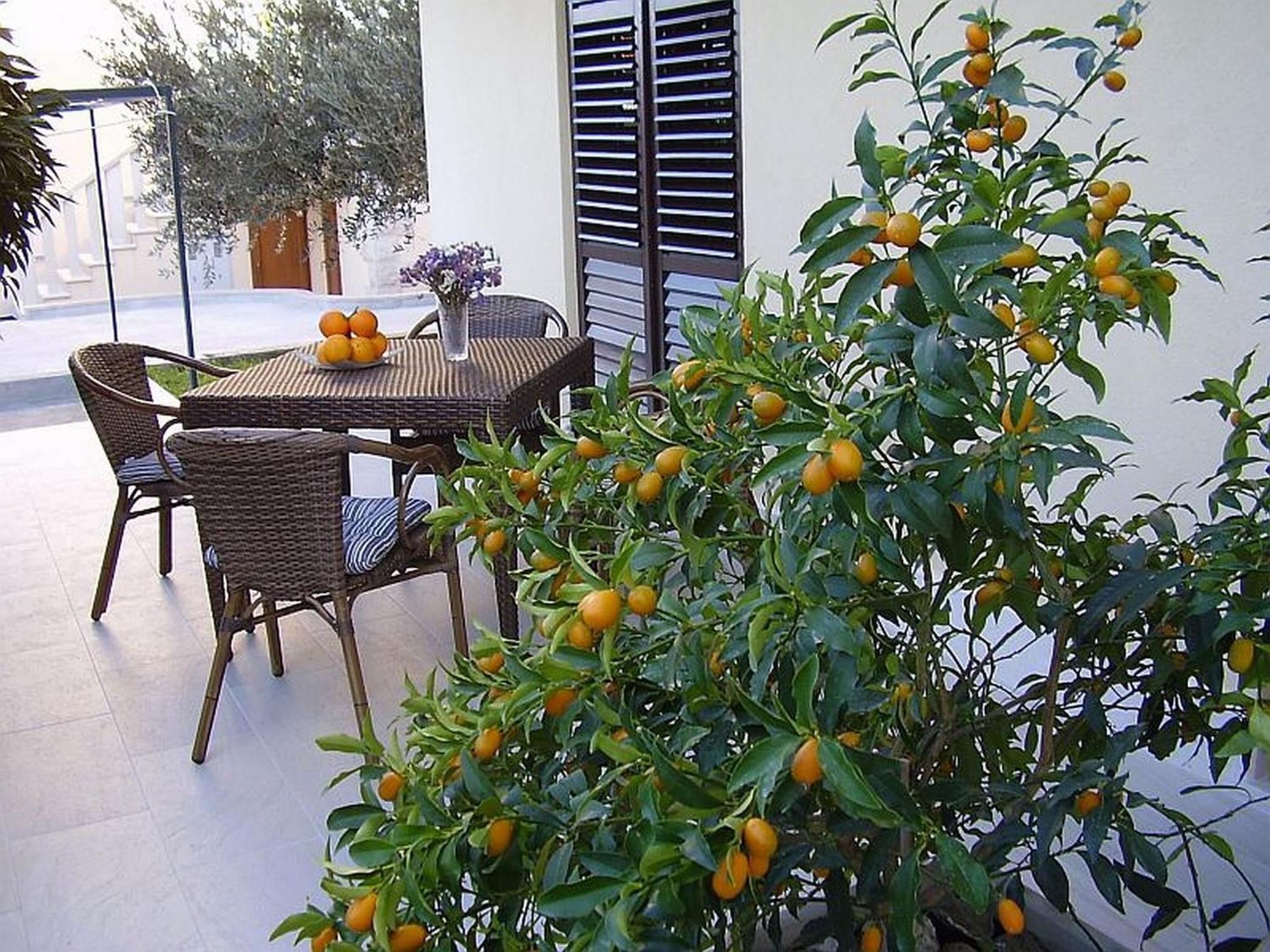 Antares Apartments Cavtat Exterior photo